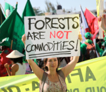 Forests are not commodities!