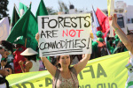 Protest against proposed programs like REDD+