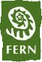 fern